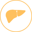 Hipatitis