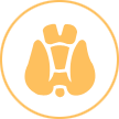 Underactive Thyroid
